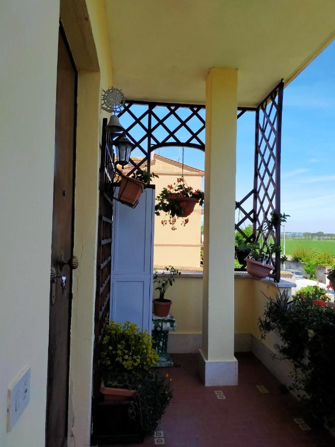 Luxury Apartment Magnolia Terrace Fregenae Exterior foto