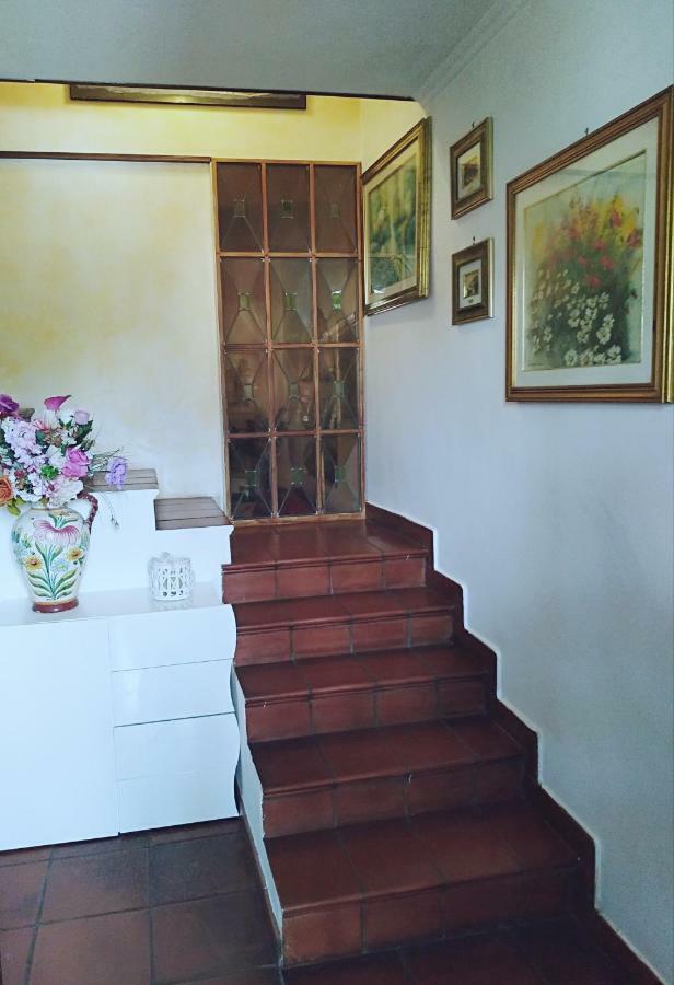 Luxury Apartment Magnolia Terrace Fregenae Exterior foto